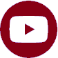youtube icon - click to open podar education youtube channel